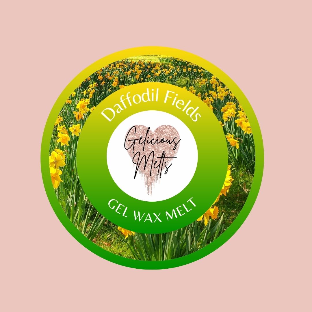 Daffodil Fields Gel wax melt