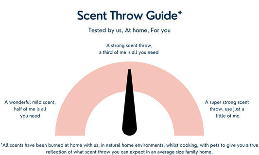 Thai Lime Mango Gel Wax Melt