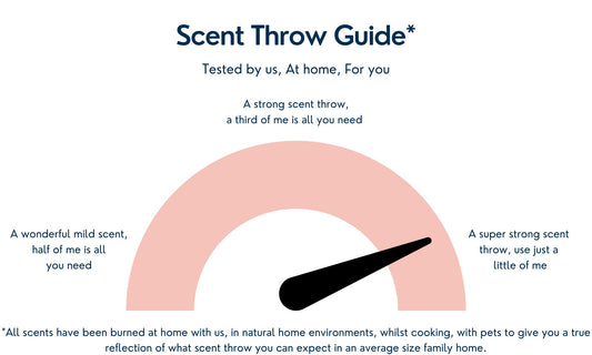 Ruby Jasmine Gel Wax Melt